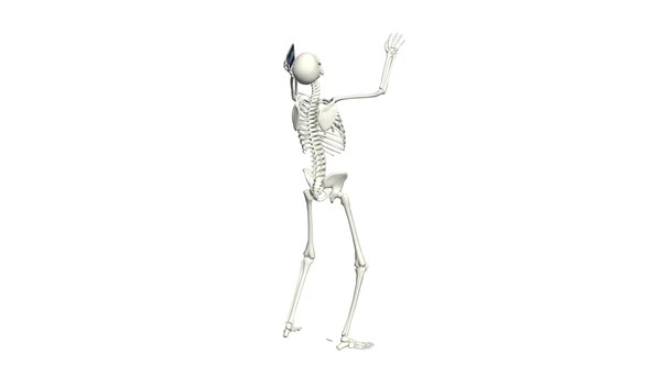 Skeleton Phone Conversation