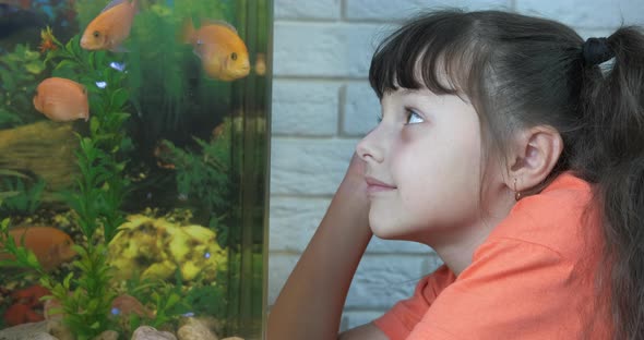 Watching fish swimming.  alt