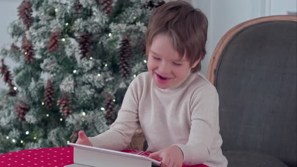 Smiling Kid Boy Sitting on a Chair and Playing with Tablet During Christmas Time alt