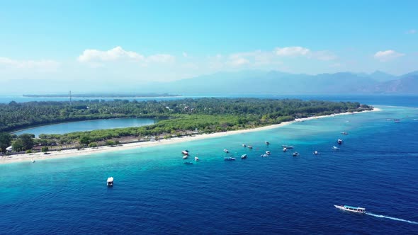Aerial drone view travel of exotic lagoon beach wildlife by blue water and white sandy background of alt