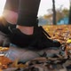 Autumn Concept - VideoHive Item for Sale