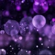 Abstract Purple Color Liquid Bubbles Motion Background Loop - VideoHive Item for Sale