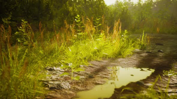 Ground Dirty Road Through Fields alt