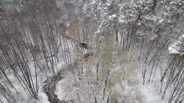 AERIAL: Flight Over the River in Winter