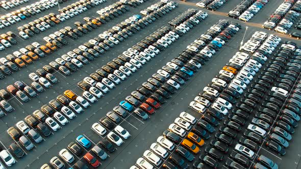 Modern Automobiles on Auto Warehouse Parking Area By Forest alt