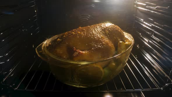 Time Lapse of Grilling or Roasting Whole Turkey in an Oven for Family Thanksgiving Dinner alt