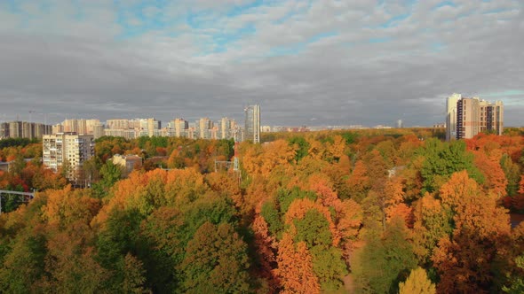 The Beauty of an Autumn Park in St alt
