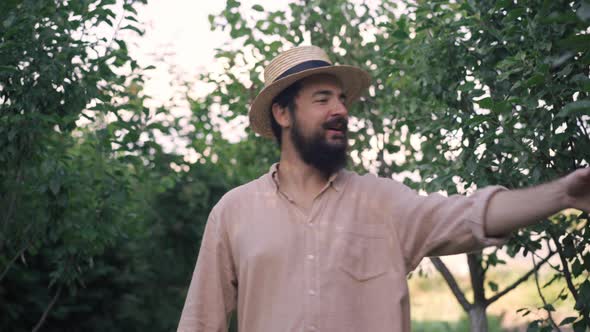 Smiling Handsome Bearded Man Walking in Sunny Garden with Cultivated Trees Admiring Plants Talking alt