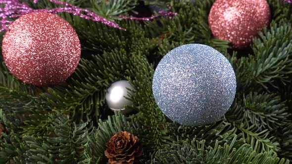 Abies nobilis branch with cones and Christmas balls alt