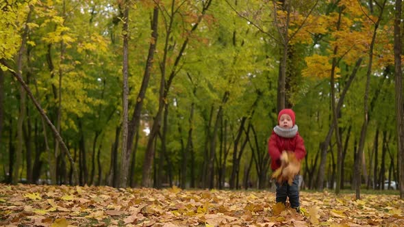One Happy Funny Child Kid Boy Walking in Park Enjoying Autumn Fall Nature Weather