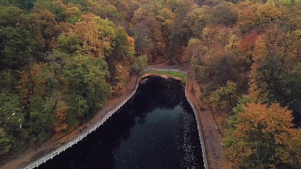 Descent Over the Lake with a Beautiful View of the Autumn Park and Circling White Doves