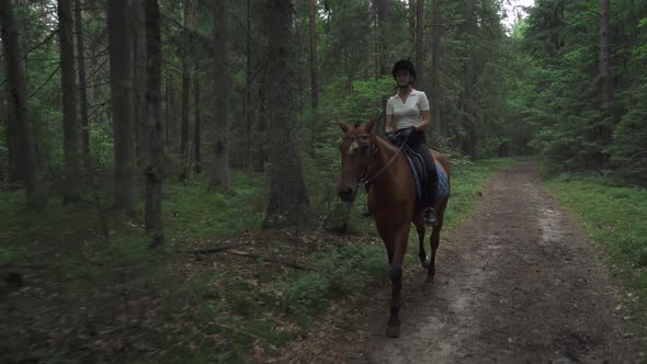 Young Female on Horseback Riding in the Forest Horse Walking Along a Forest Path Horsewoman Ride on alt