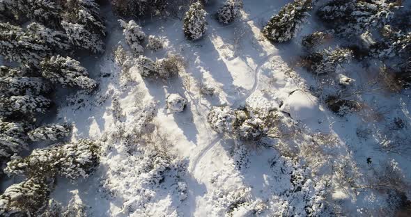 Overhead Aerial Top View Moving Over Alpine Mountain Snow Covered Pine Forest Woods