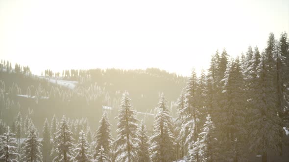 Beautiful Winter Landscape in the Mountains alt