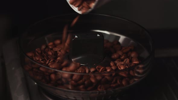 Roasted coffee beans poured into a coffee grinder alt