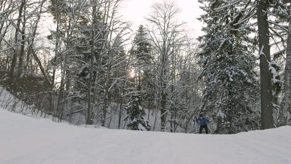 Male Athlete Skiing in Forest alt