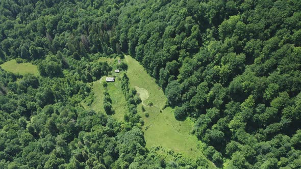 A Topdown Aerial View of a Forest Glade Among Mixed Green Forest on a Summer Day alt