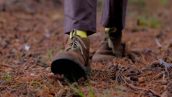 Legs of a Woman Walking Along the Autumn Trail Tourist Walks in Nature alt
