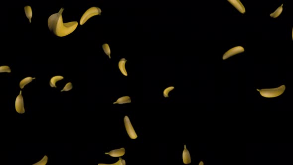 Animation of falling bananas on a black background