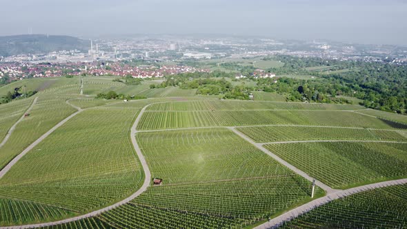 Drone view of vineyards and the city of Kappelberg in Germany alt