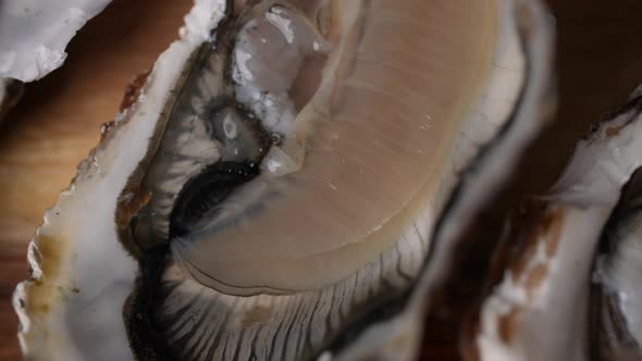 Fresh Oysters 05 alt