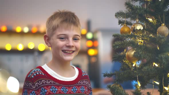 Portrait of Smiling Preteen Boy in Red Sweater Smiling at Camera Near Christmas Tree alt