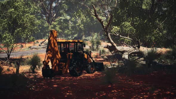 Excavator Tractor in Bush Forest alt