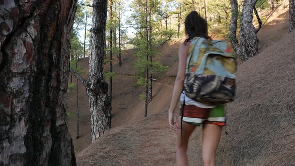 Young Active Woman Hiking Along Beautiful Green Forest Taburiente National Park