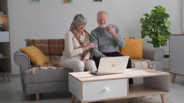 Remote Communication Happy Female and Male Retirees Have Fun Chatting Via Laptop Video with Friends alt