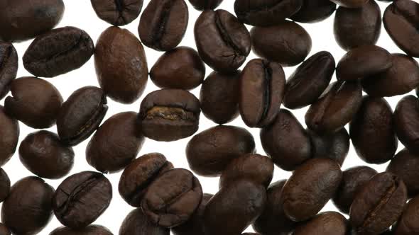 Fried Coffee Grains On White