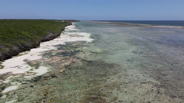 Shore of Zanzibar Island Tanzania at Low Tide alt