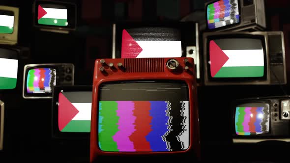 Palestine flag on a Retro TV Wall. alt