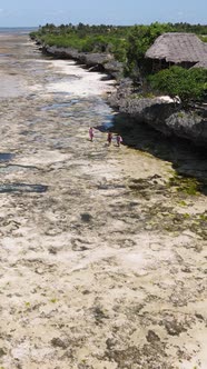Tanzania  Vertical Video of the Ocean Near the Coast of Zanzibar Slow Motion alt