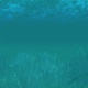 Underwater Ocean 4K - VideoHive Item for Sale