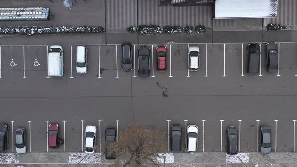A Panoramic Picture of a Car Park with Empty and Filled Seats for Cars alt