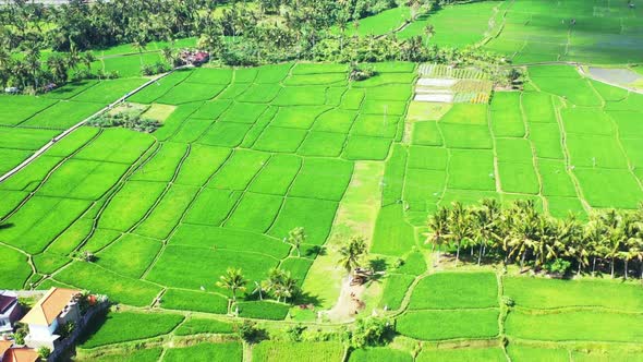 Aerial travel of idyllic island beach time by transparent sea with white sandy background of journey alt