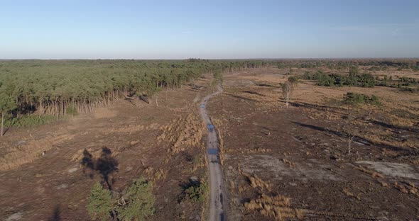 Aerial view of heather field in autumn. alt