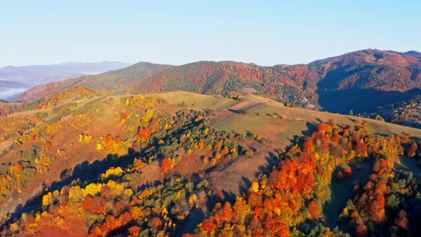 High Mountain Peaks with Yellowed Forest Under Bright Sun alt