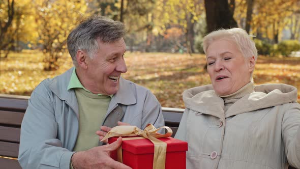 Mature Man Gives Gift to Beloved Wife on Birthday Elderly Woman Happily Laughs Positive Married alt