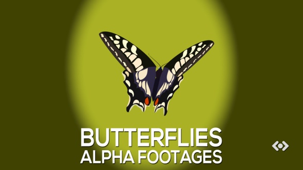 Butterflies Alpha Footages
