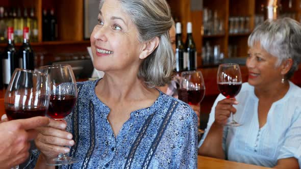 Friends toasting red wine in bar 4k alt