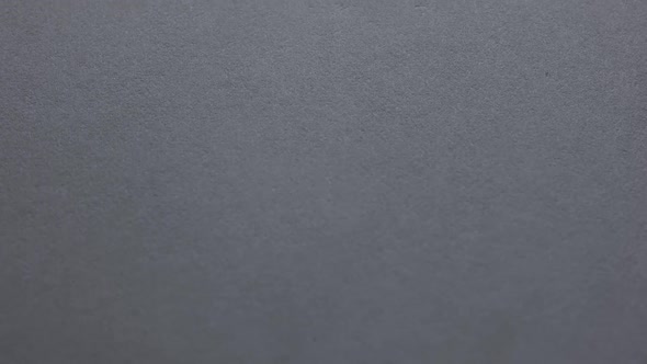 Open Book with Blank White Pages alt