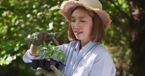Asian woman gardening and smiling on sunny day alt