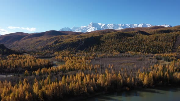Beautiful Golden Autumn in Altai Mountains, Siberia, Russia. Aerial View.
