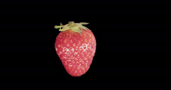 Red Strawberry Rotates Alpha Channel