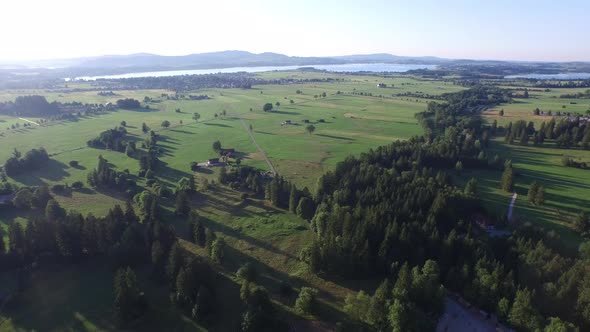 Aerial view of plains with fir trees