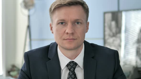Portrait of Businessman in Office alt