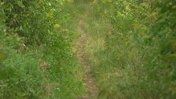 Pathway