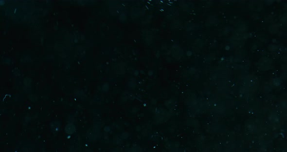 Blue Bubbles Rising Through Water Against Black Background alt