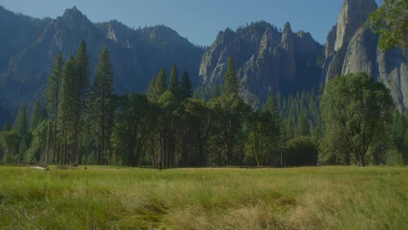 Forest Trees and Granite Cliffs at Yosemite Park on a Sunny Day alt